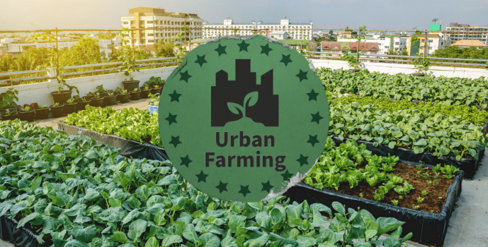 The role of urban agriculture in modern architectural design